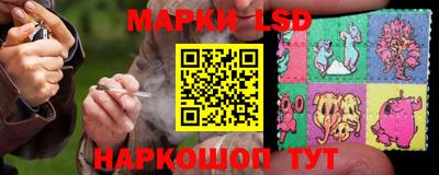 эйфоретик Кимры