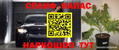 эйфоретик Кимры