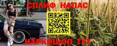 эйфоретик Кимры
