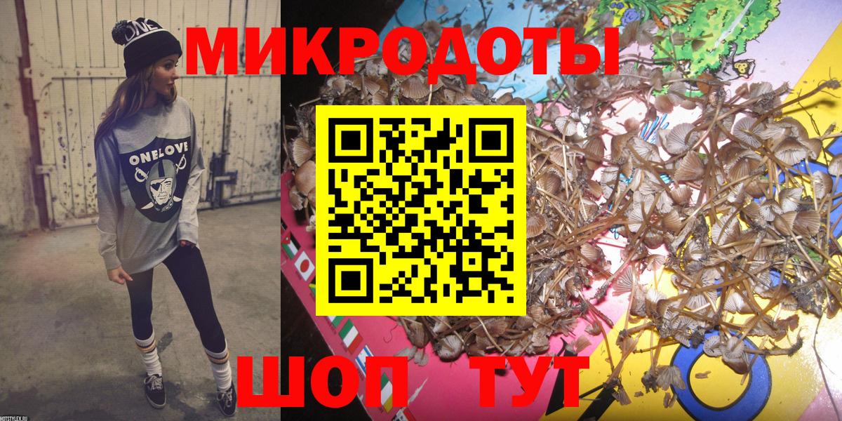 Псилоцибиновые грибы Psilocybe  закладки  Коломна  Псилоцибиновые грибы мицелий  Вход с VPN 